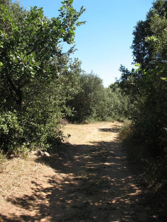 Esprit Garrigues D'Uzes Bed & Breakfast Pougnadoresse Exterior foto